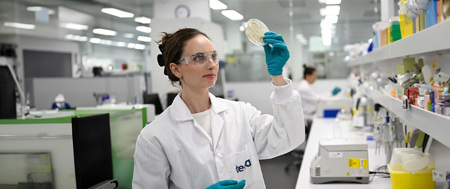 Woman scientist working in a laboratory Woman scientist working in a laboratory