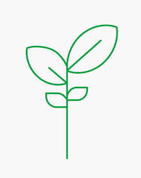 green-plant-illustration.png