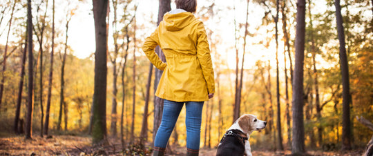 Woman paused on walk with her dog in the park, struggling with sudden migraine symptoms