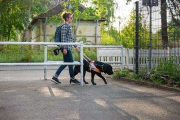 Service dog helps a woman with Huntington’s disease walk safely outside