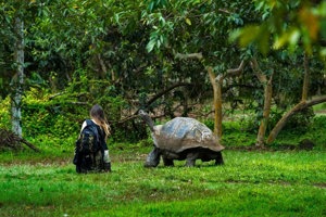 Woman resting with giant tortoise symbolizing need for slow steady pace