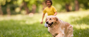 kid and pet