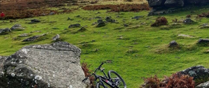 A mountain bike rests on a rock, surrounded by a lush grassy field under a clear sky.