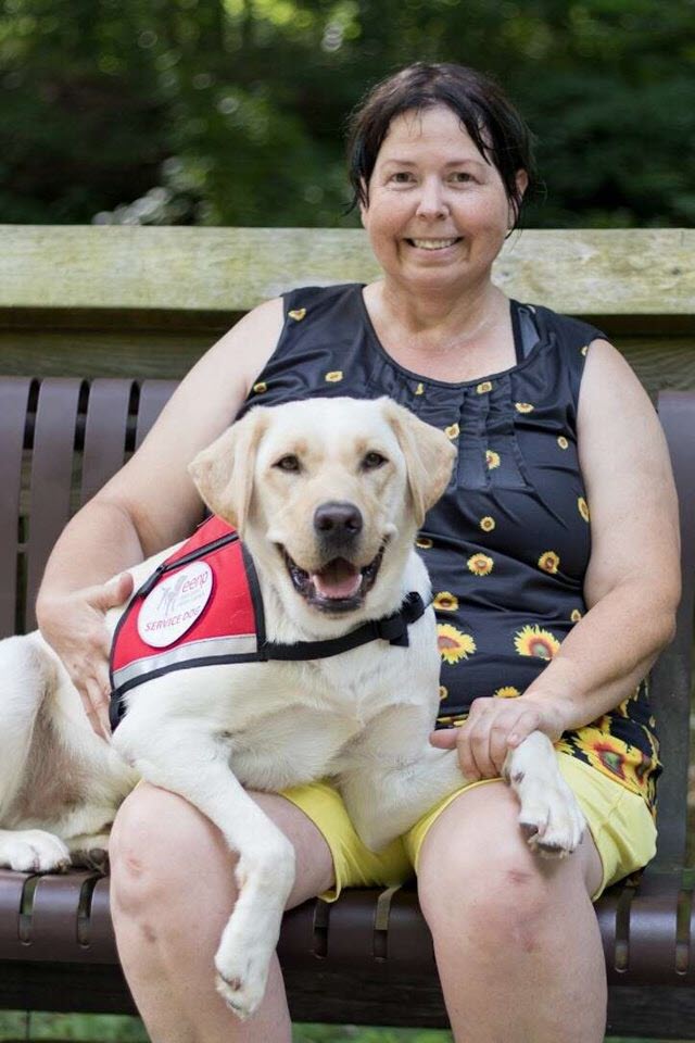 Sarah-Foster-HD-Service-Dog-Rupee-During-Training.jpg